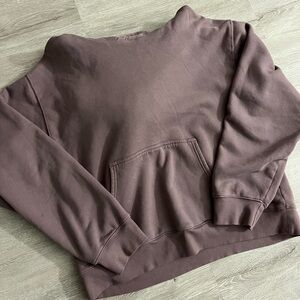 Aritzia Perfect Hoodie